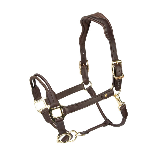Velociti LUSSO Soria Control Leather Headcollar - Havana