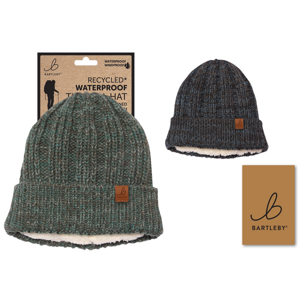 Bartleby Waterproof Recycled Chunky Rib Hat - Assorted
