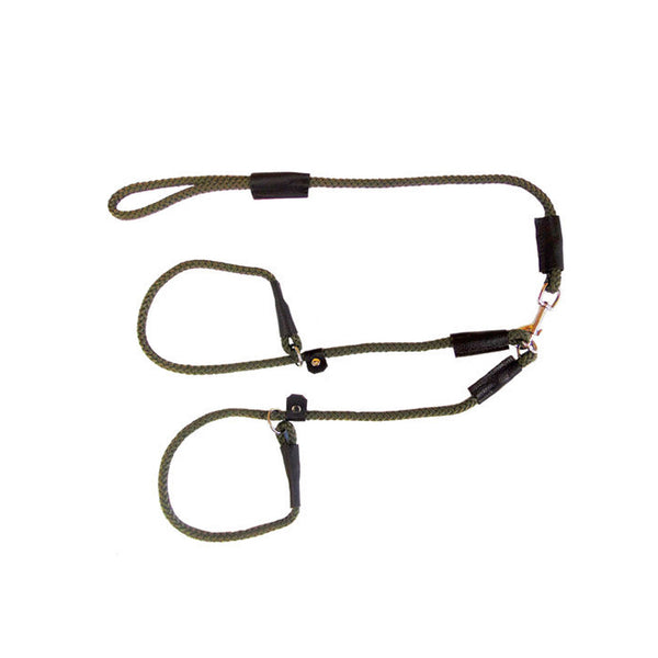 Sporting Saint Country Classic Brace Lead