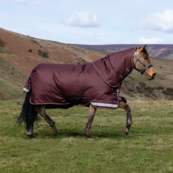 LeMieux Arika Ripstop 200g Turnout Rug - Bramble