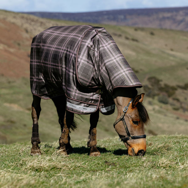 LeMieux Arika Check 100g Turnout Rug - Cocoa