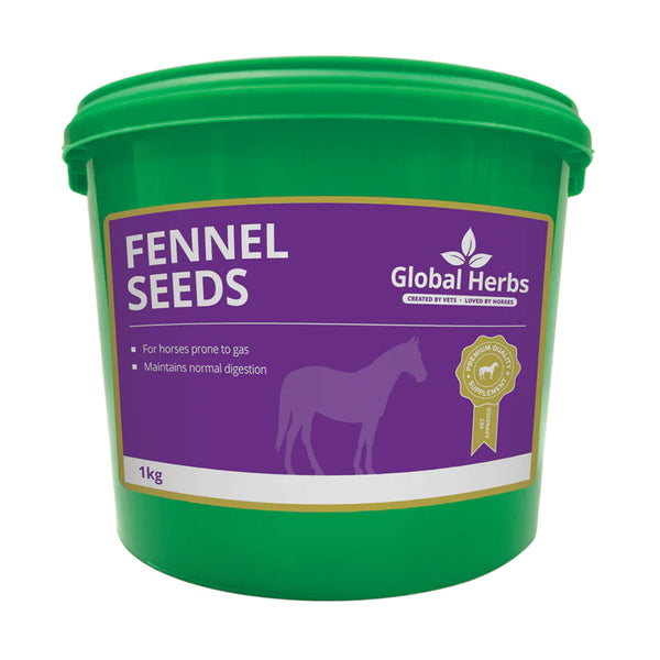 Global Herbs Fennel Seeds - 1kg