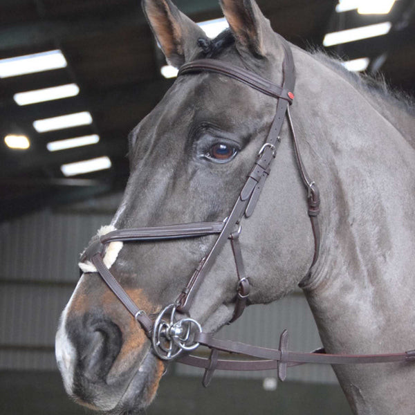 John Whitaker Ready To Ride Mexican Bridle - Brown