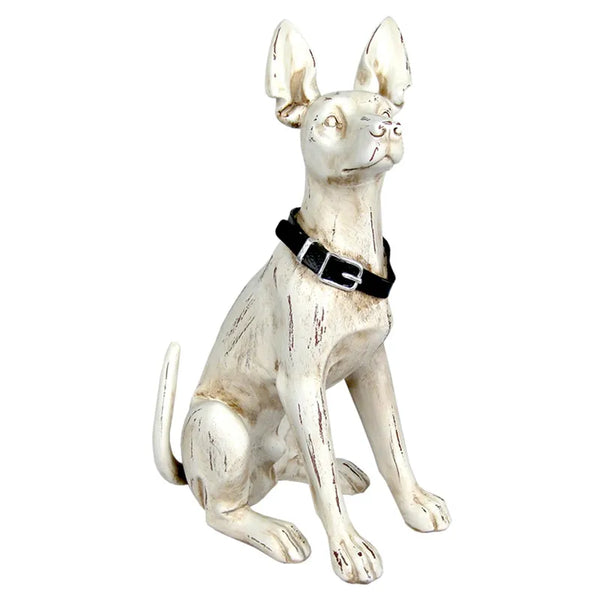 JJ Vaillant Dog Sitting