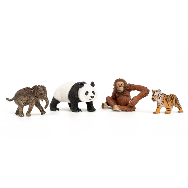 Schleich Wild Life Asia Starter Kit