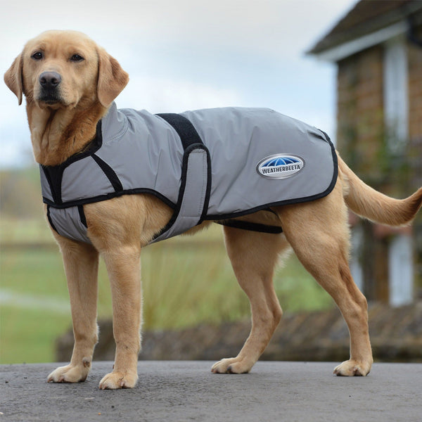WeatherBeeta ComFiTec Reflective Dog Coat - Silver
