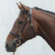 Mackey Classic In-Hand Bridle - Black
