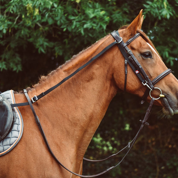 Mackey Equisential Anti-Grazing Rein - Black