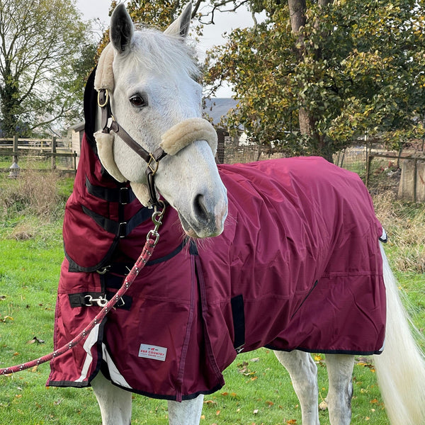 R&R Country 300g Turnout Combo Rug