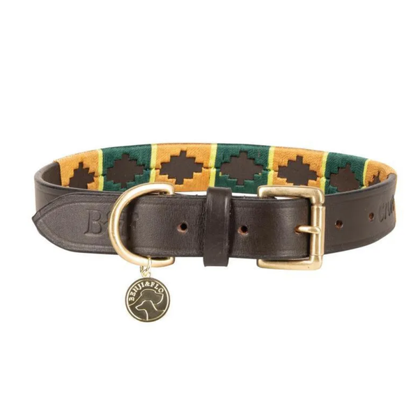 Benji & Flo Sublime Polo Leather Dog Collar - Green & Gold