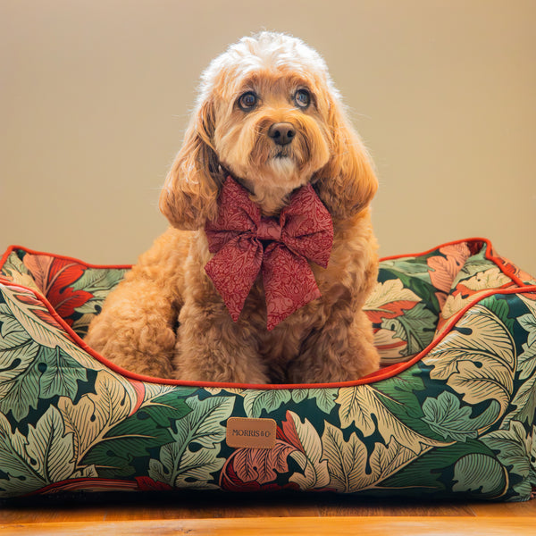 William Morris Acanthus Print Christmas Bed