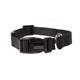 Doodlebone Originals Collar - Black