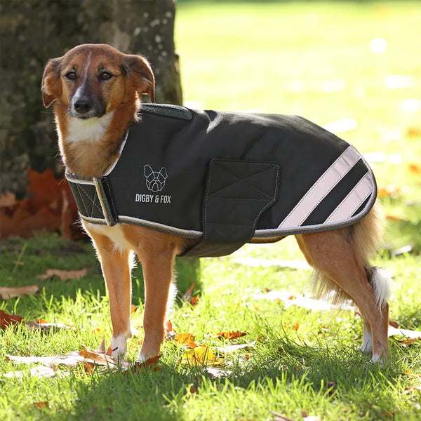 Digby and Fox Waterproof Dog Coat - Green