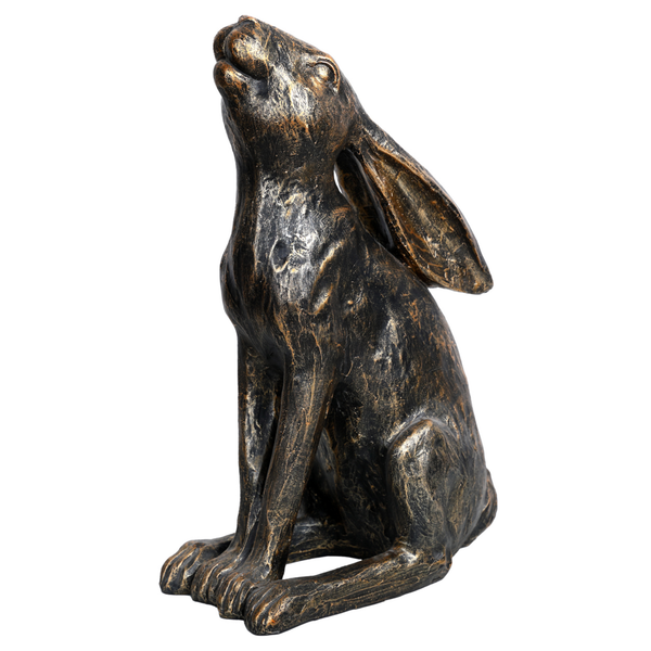 Harry Stargazing Hare