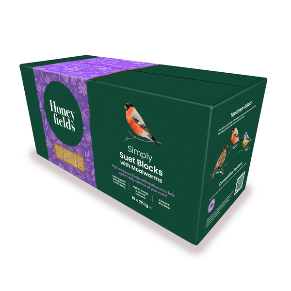 HF Simply Suet Block with Mealworms - 10 pack