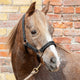 Cameo Fieldsafe Headcollar - Black reflective