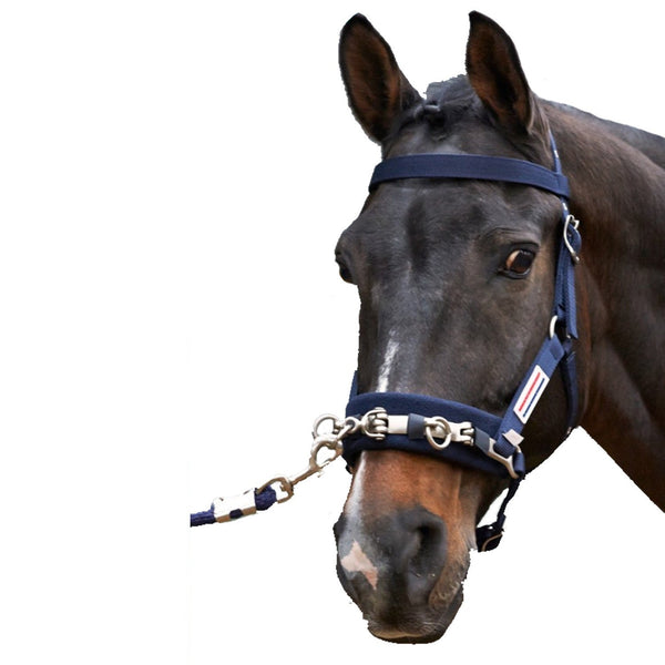 John Whitaker Lunge Cavesson - Navy
