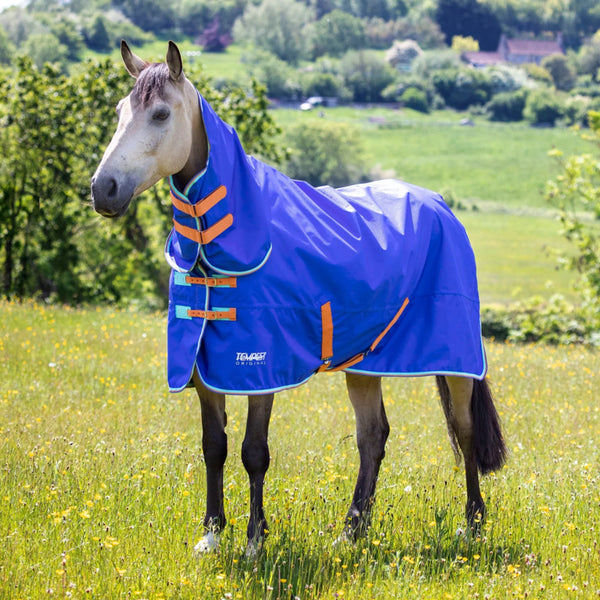 Shires Tempest Original 50 Combo Turnout Rug - Royal