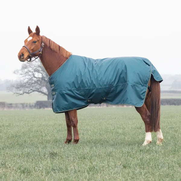 Typhoon 200g Turnout Rug - Green