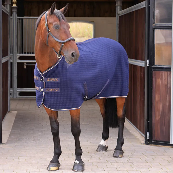 Tempest Original Tech Cooler Rug - Ink