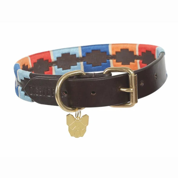 Digby and Fox Drover Polo Dog Collar - Turquoise/Red/Orange/Blue