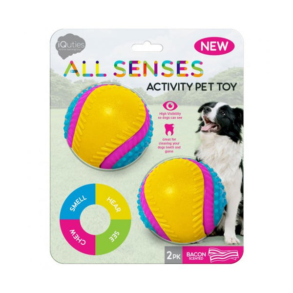 Iquties Sensory Ball