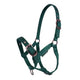 Cameo Foal Headcollar - Evergreen