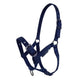 Cameo Foal Headcollar - Navy