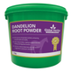 Global Herbs Dandelion Root Powder - 1kg