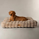 Scruffs Alpine Mattress - Champagne
