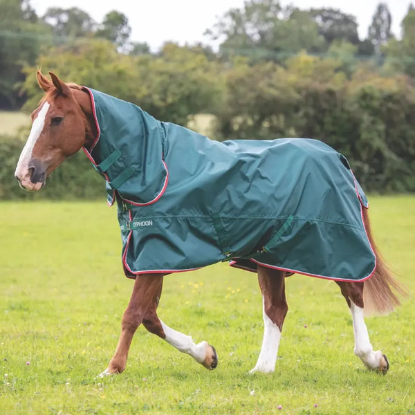 Typhoon Lite Combo Turnout Rug - Green