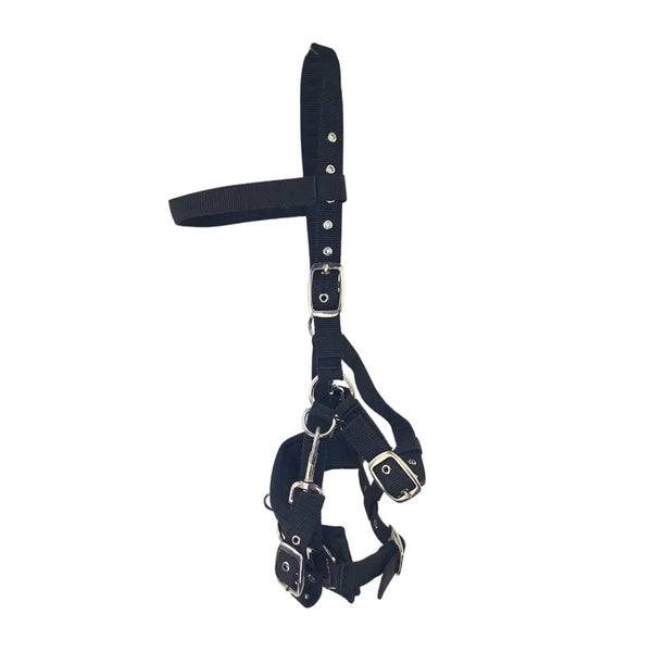 Cameo Professional Lunge Cavesson - Black