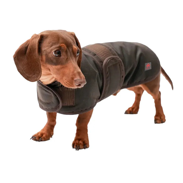 Firefoot Waxed Dachshund Coat - Brown