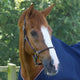Premier Equine Hennaroso Rolled Anatomic Leather Head Collar - Brown