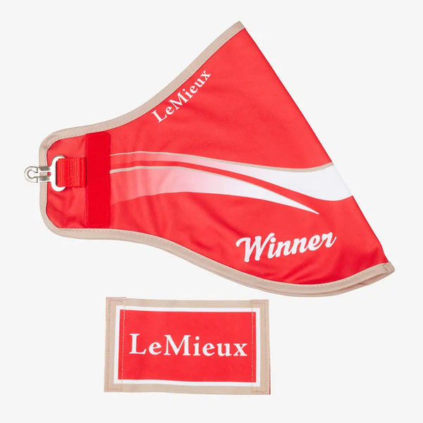 LeMieux Hobby Horse Winners Rug - Red