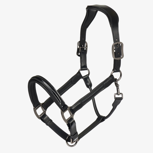 LeMieux Patent Leather Headcollar - Black