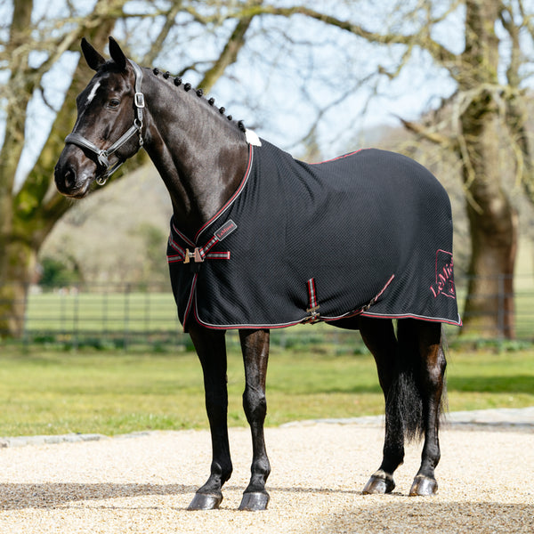 LeMieux Kudos Bamboo Cooler - Black