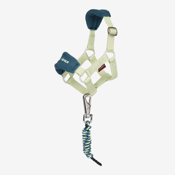 LeMieux Toy Pony Vogue Headcollar and Leadrope - Macaron