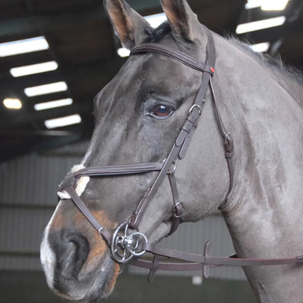 John Whitaker Ready To Ride Mexican Bridle - Brown