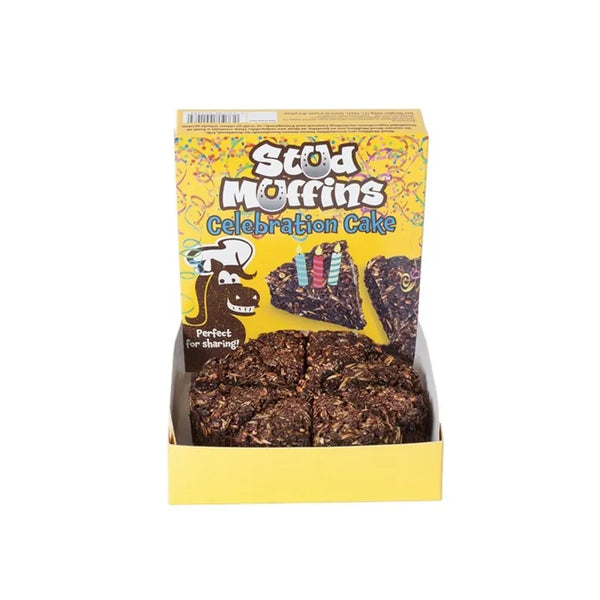 Stud Muffins Celebration Cake