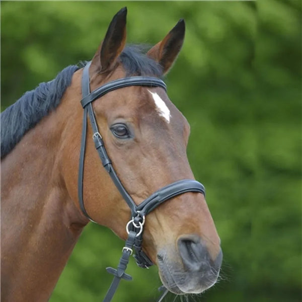 Mackey Star Bitless Bridle - Black