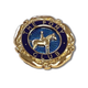 Official Pony Club Members Badge Gold one size