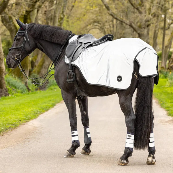 LeMieux Reflective Exercise Sheet - Navy