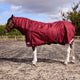 R&R Badminton 200g Turnout Combo Rug