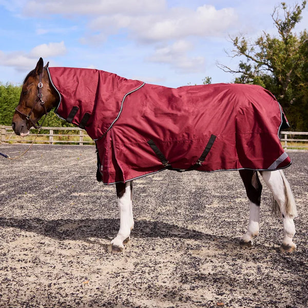 R and R Burghley 100g Detachable Neck Turnout Rug