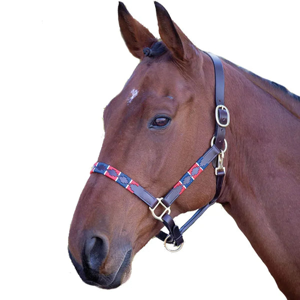 Velociti GARA Leather Polo Headcollar - Red/Navy
