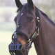 Greenguard Headcollar - Black