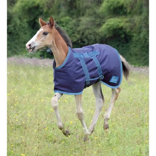 Tempest Original 200 Foal Turnout Rug - Navy/Turquoise
