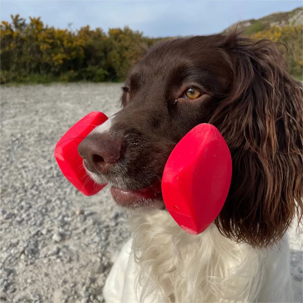 Sporting Saint Dumbbell Trainer Red