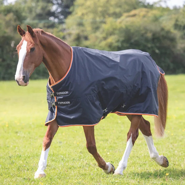 Typhoon 200 Turnout Rug - Black